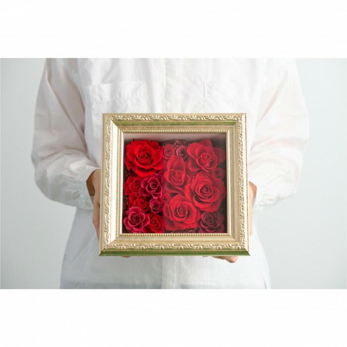 フラワーアレンジ ベリッシモ レッド F-6081