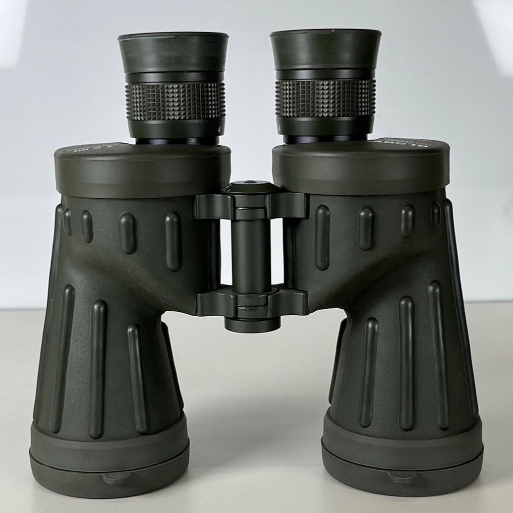 古口翠芳/Suihou Koguchi】墨彩画 鶏頭と蟷螂 木製額縁付き 古口翠