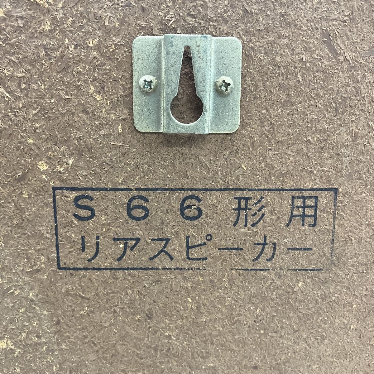 C10031027