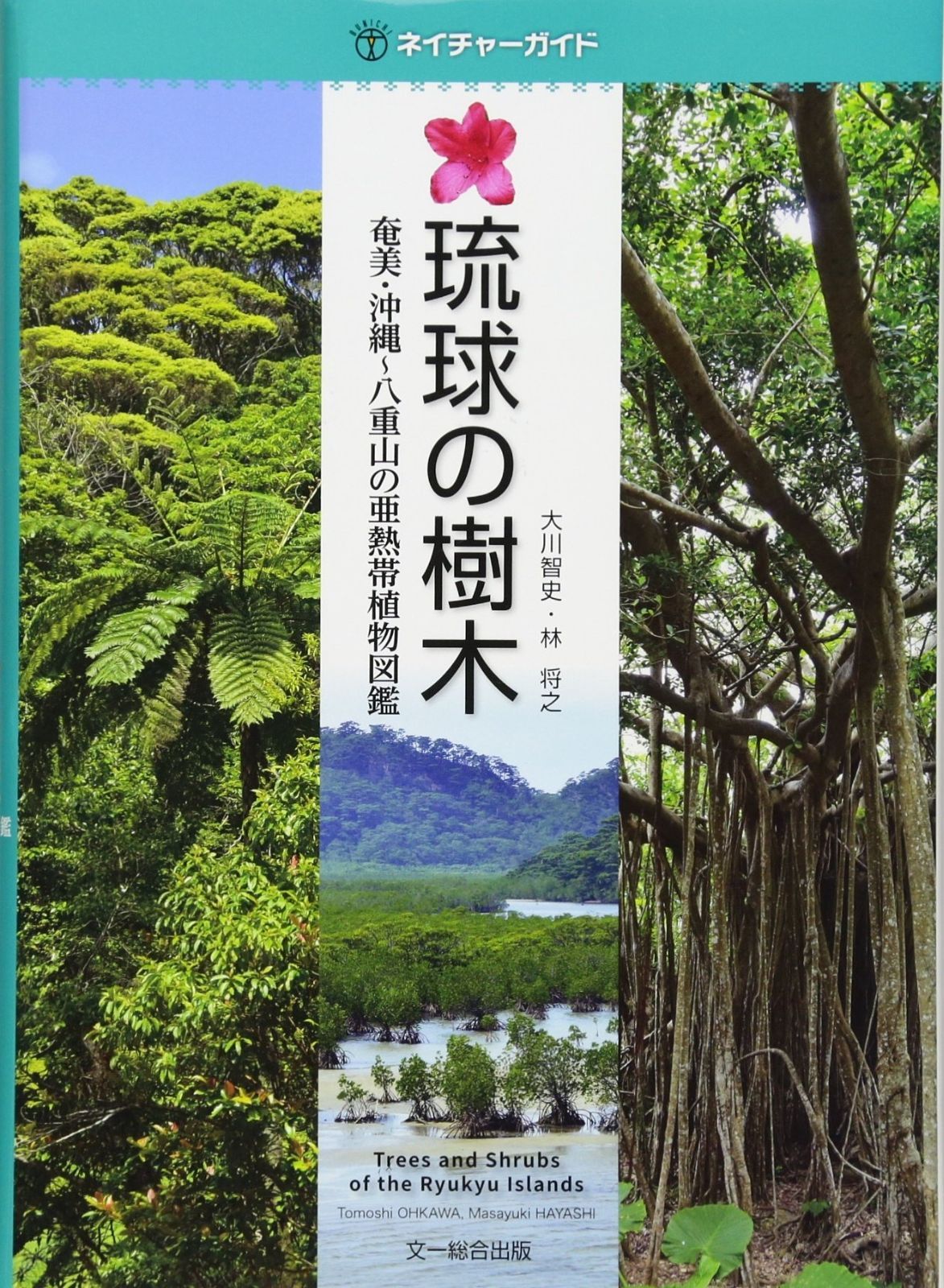 本 琉球の樹木?奄美・沖縄?八重山の亜熱帯植物図鑑 (ネイチャーガイド)