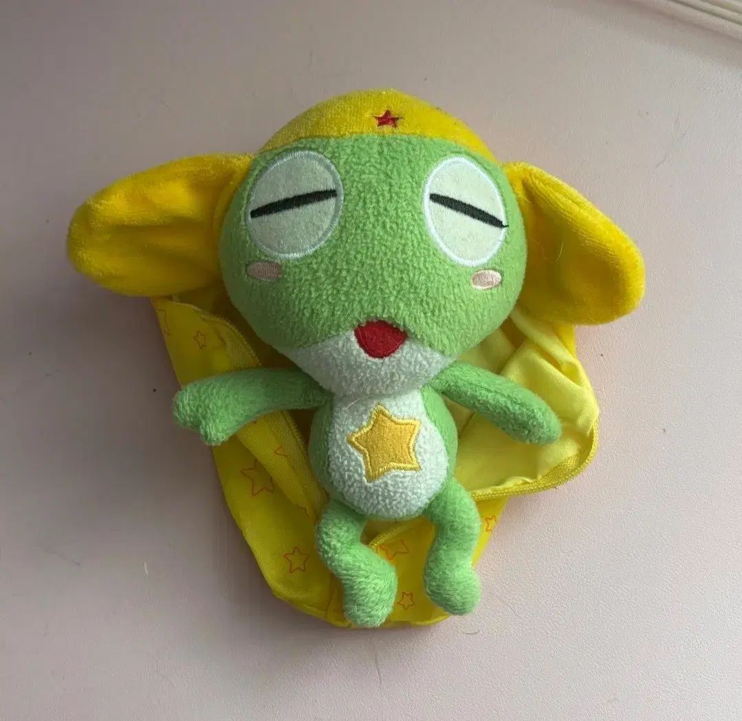 mag様専用 おやつ便 シフォンケーキサンド チーズケーキ テリーヌ no c