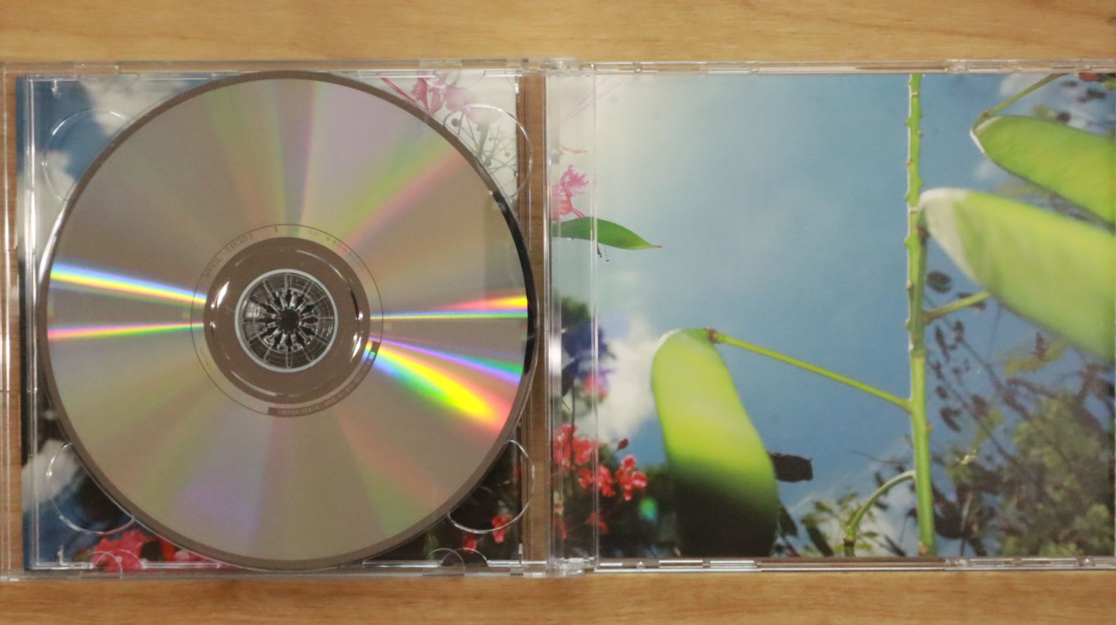 J-POP 激レア　ピンクバルーンCD 国内盤CD☆ボニー・ピンク/BONNIE PINK□ Every Single Day