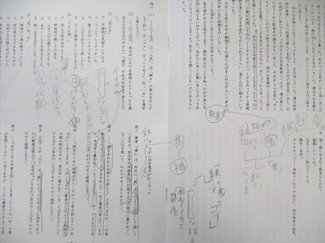 SAPIX 小6 サピックス 開成コース 夏期集中志望校錬成特訓(NKAｰ
