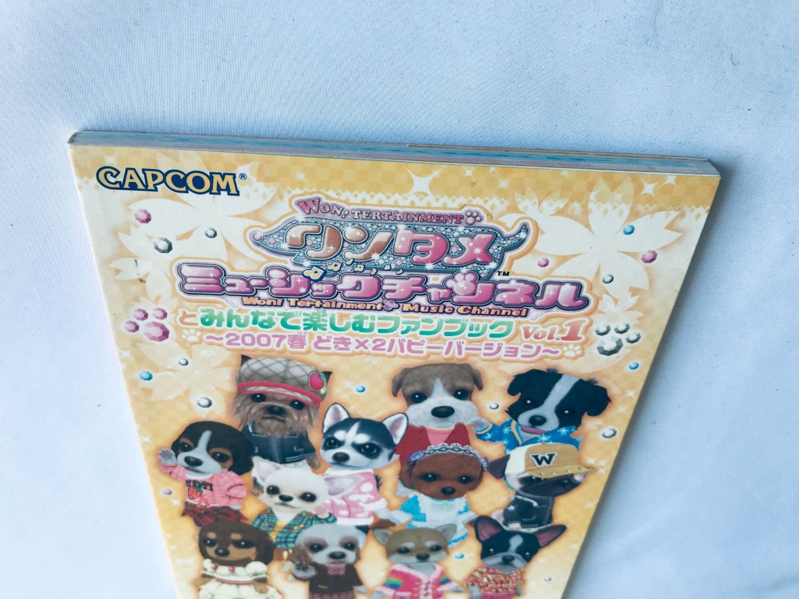 ワンタメ ミュージックチャンネルとみんなで楽しむファンブック