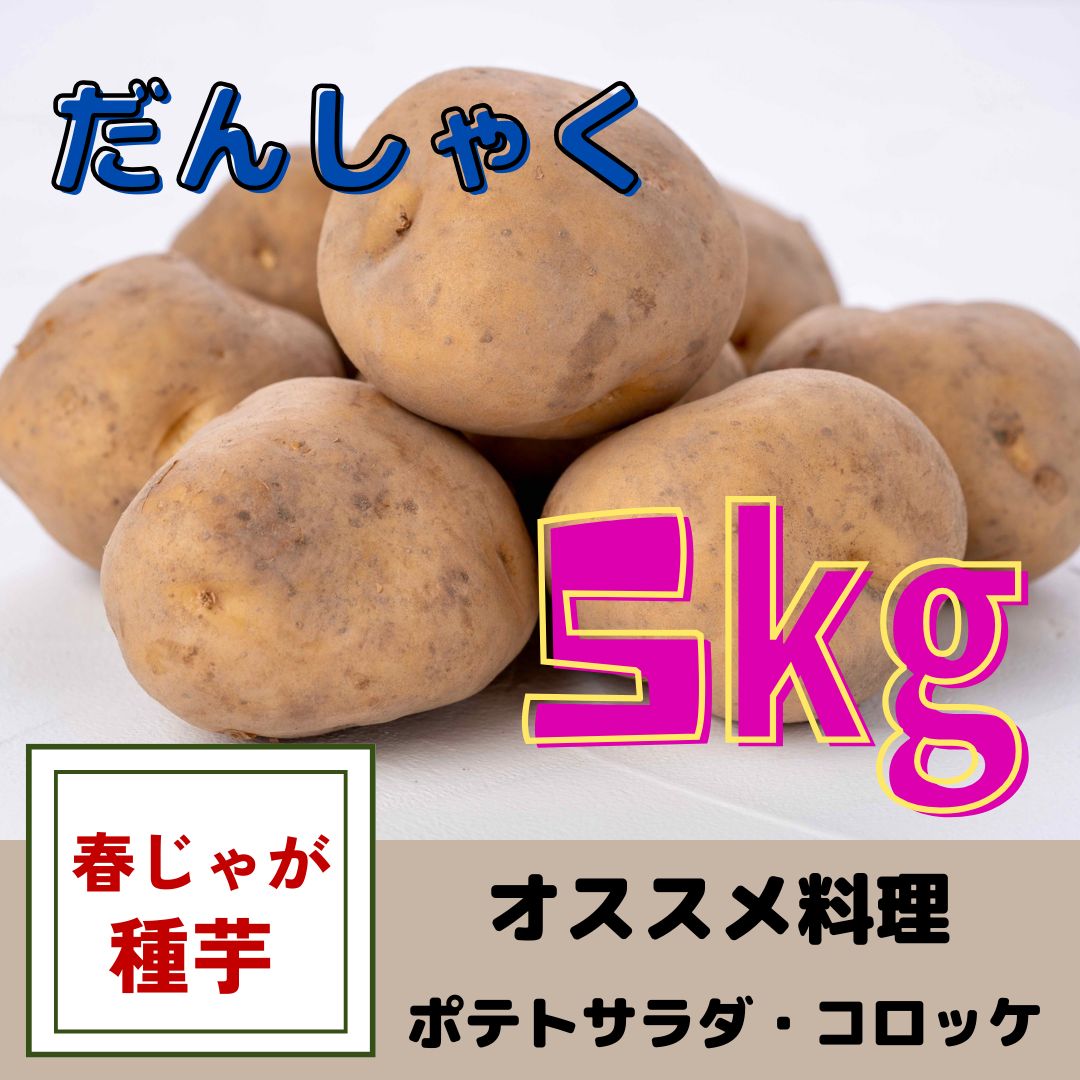 じゃがいも種芋【男爵】5kg - メルカリ