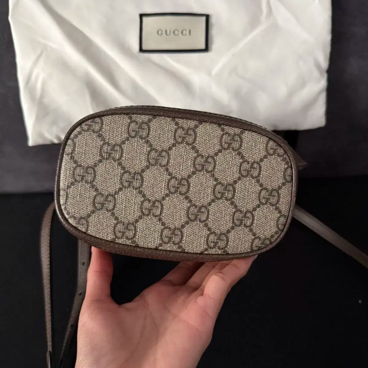 オフィディア GG