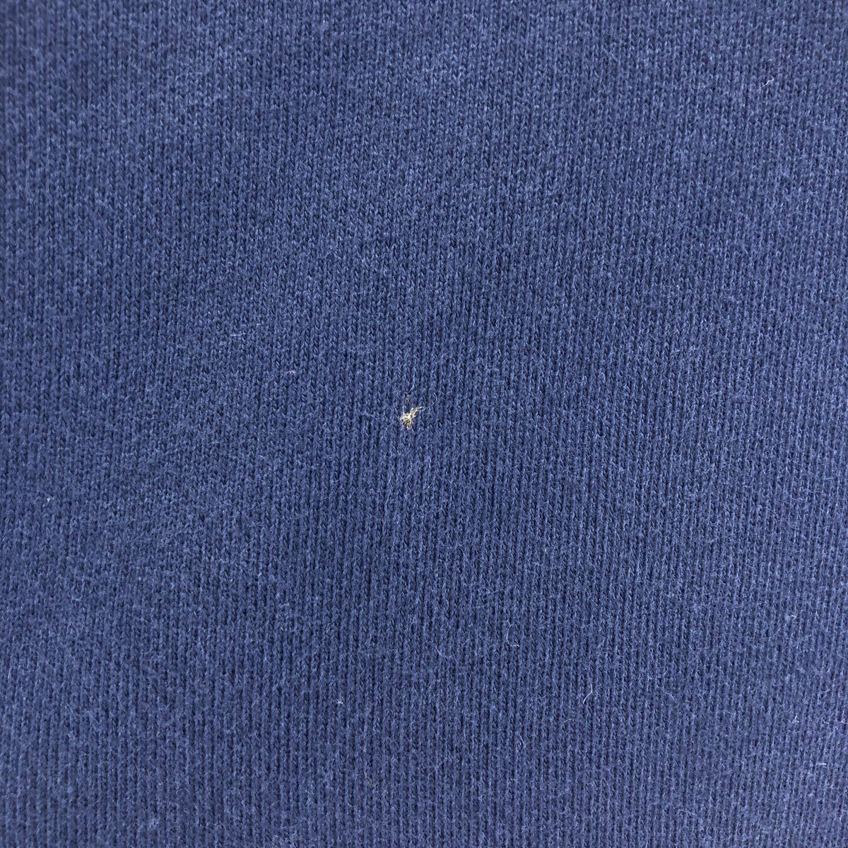 古着 ラルフローレン