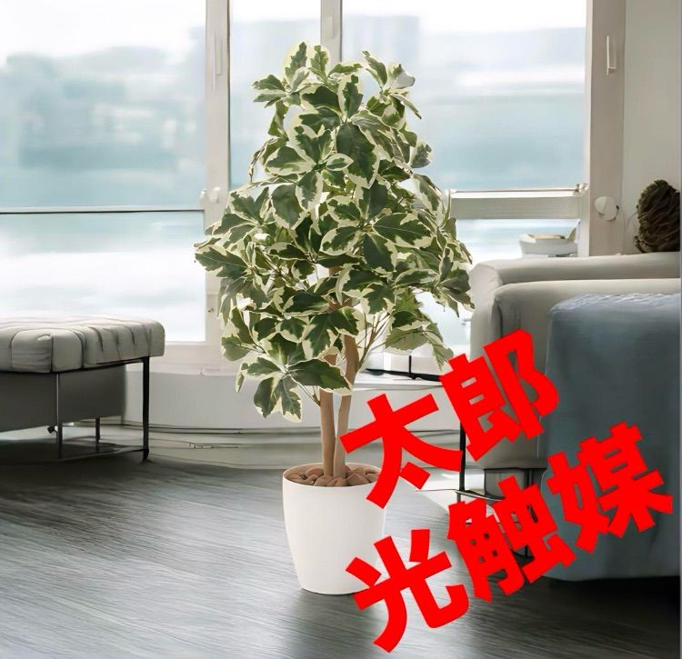光触媒 人工観葉植物 ウォールグリーン フェイクグリーン 斑入