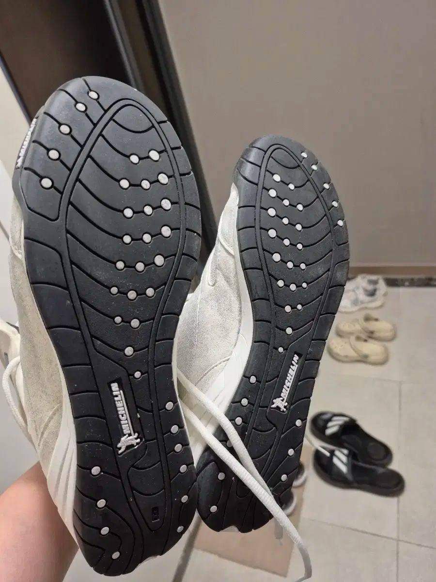260 販売