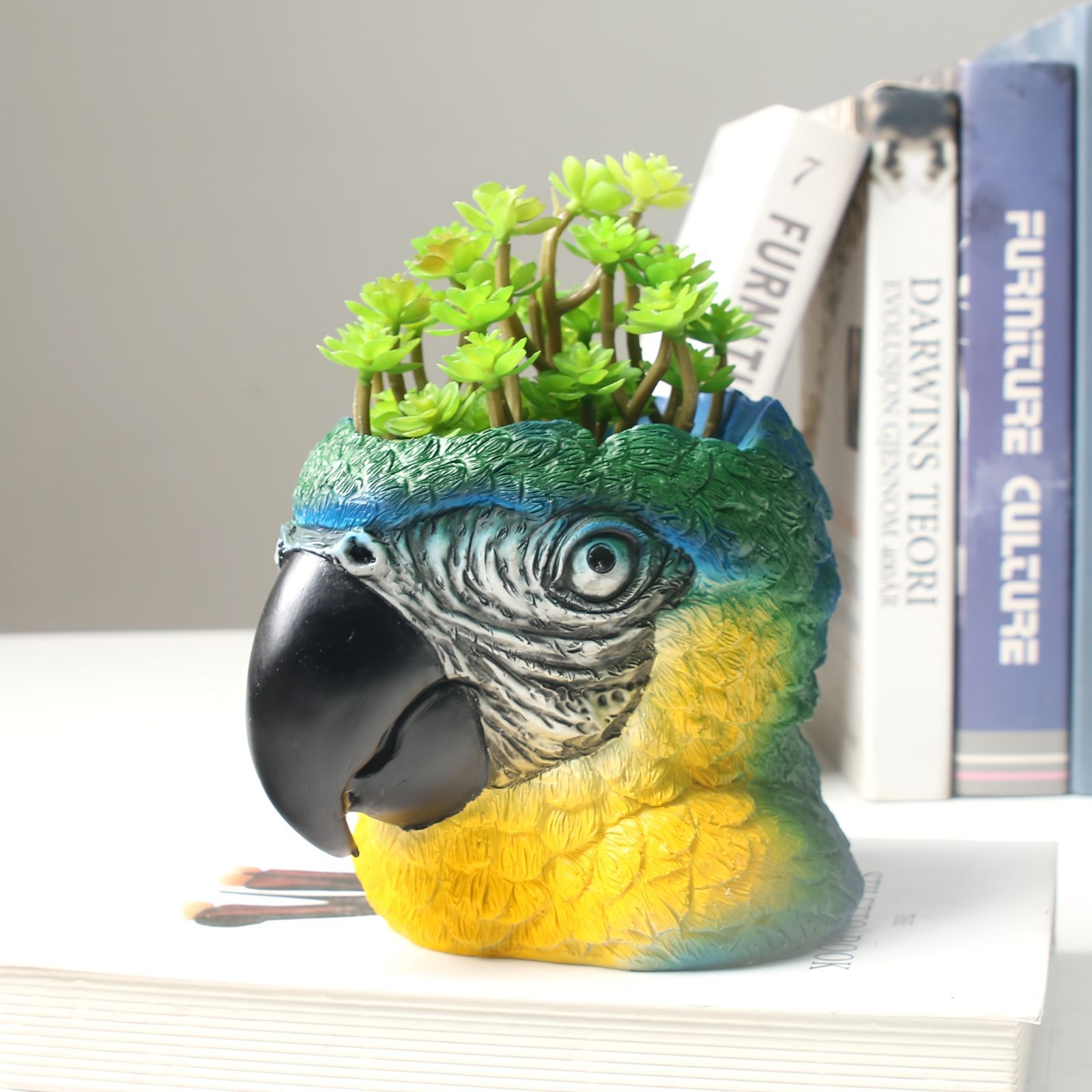 赤紫色の多肉植物 青い鉢付き*2 青い 多肉 植物