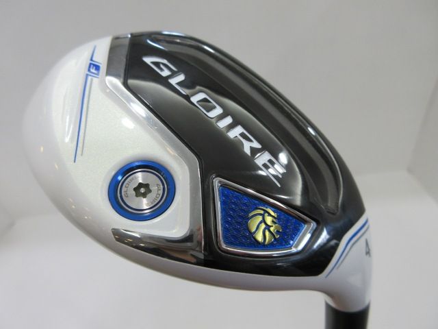 極大サイズ＆超美品 ビカクシダ P.willinckii Jewel spore 人気