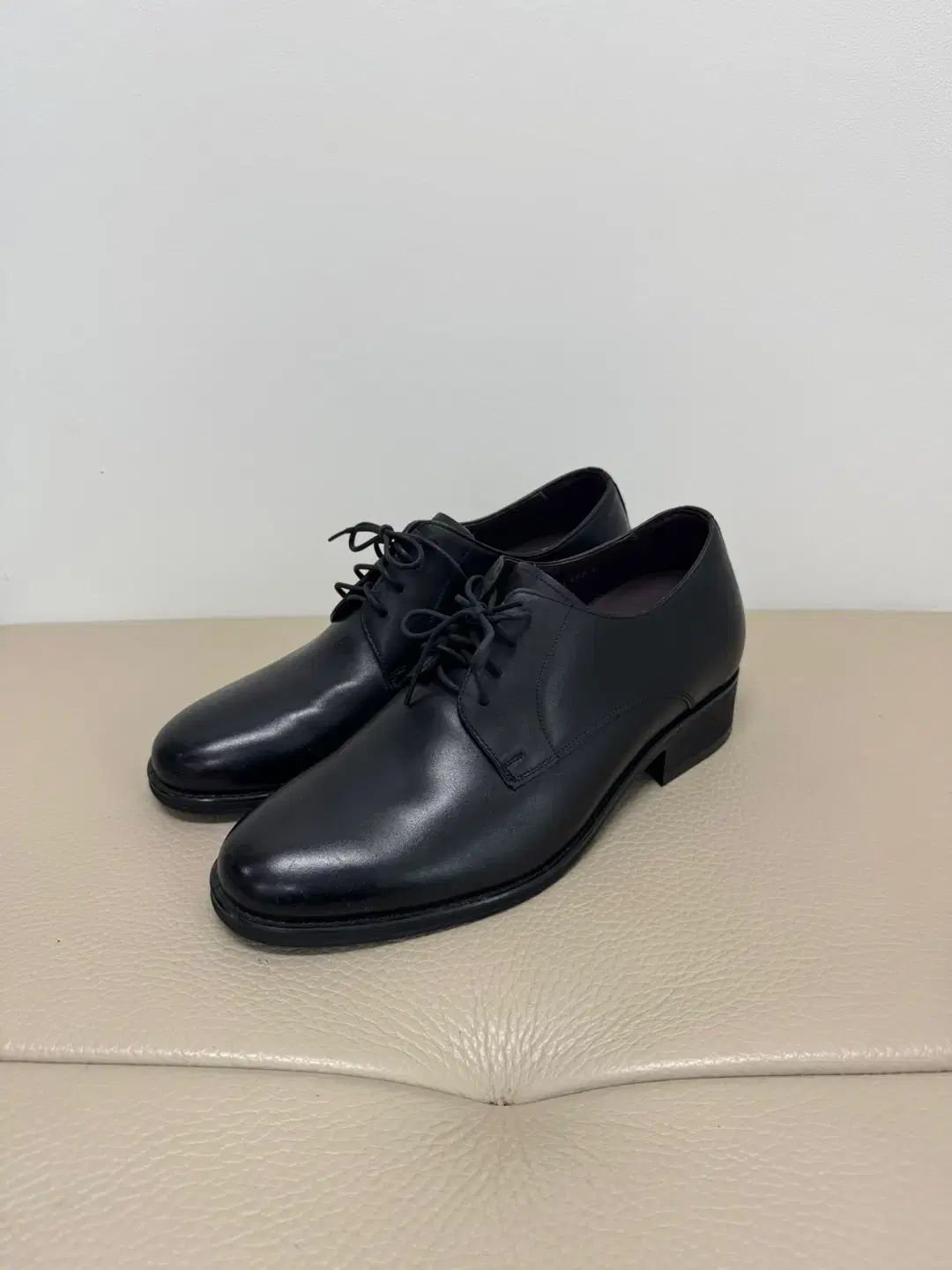 260 ESQUIRE エスクァイア ポートフォリオ