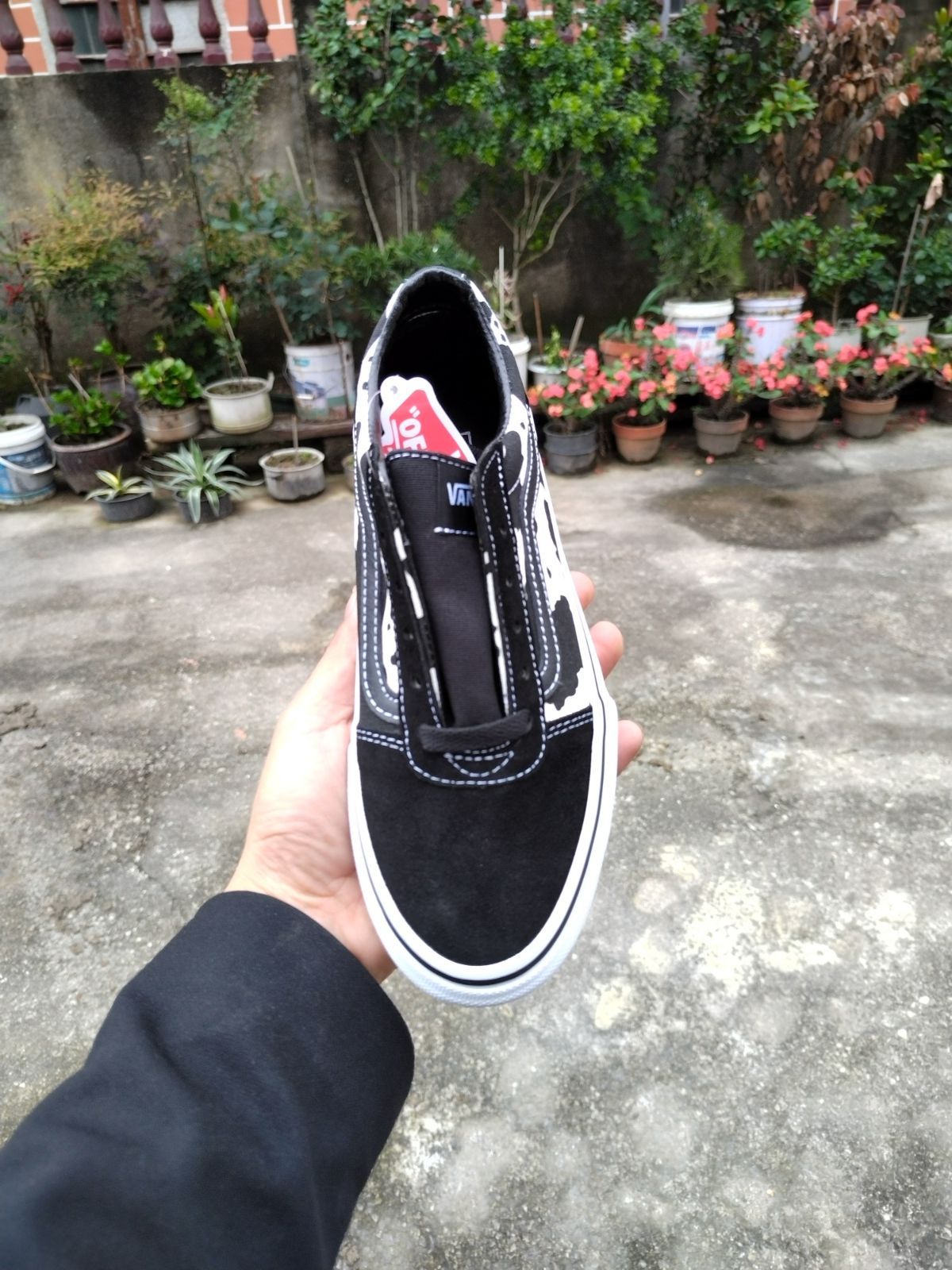 VANS