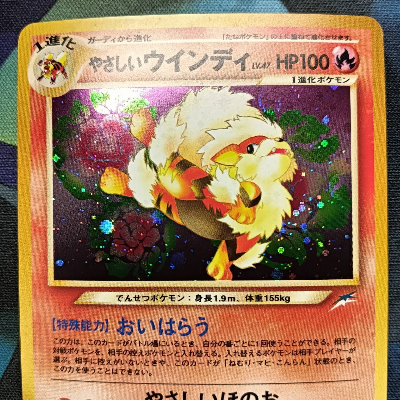 ポケモンカード Bランク やさしいウインディ Holo LV47HP100NO059 闇、そして光へ… 旧裏 シングルカード ポケカ Pokemon ポケットモンスター ポケモンカード Bランク やさしいウインディHolo LV47HP100NO059