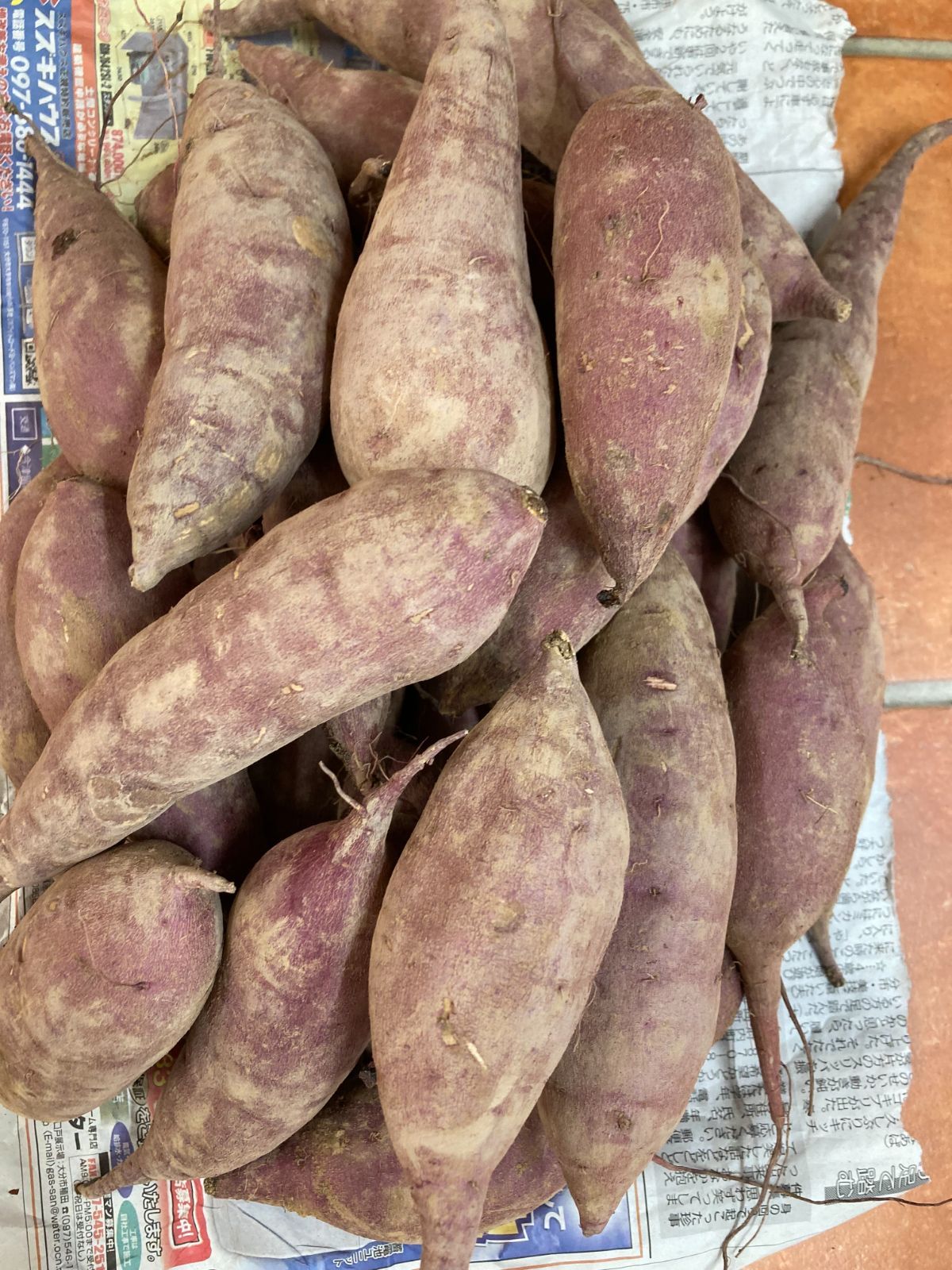 さつまいも 大分県豊後大野市超熟成紅あずま10㎏ - 野菜