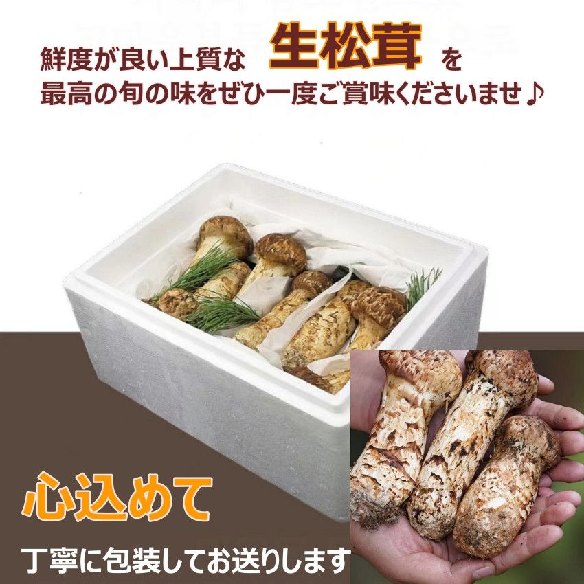 松茸 中国産 約950g前後 大容量お買い得品 フレッシュと好評です 
