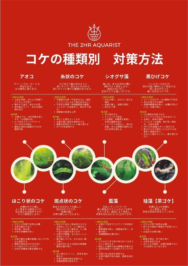 メルカリshops 魚やエビ 水草に優しい水槽用コケ取り剤 Apt Fix アクアリウム Ada