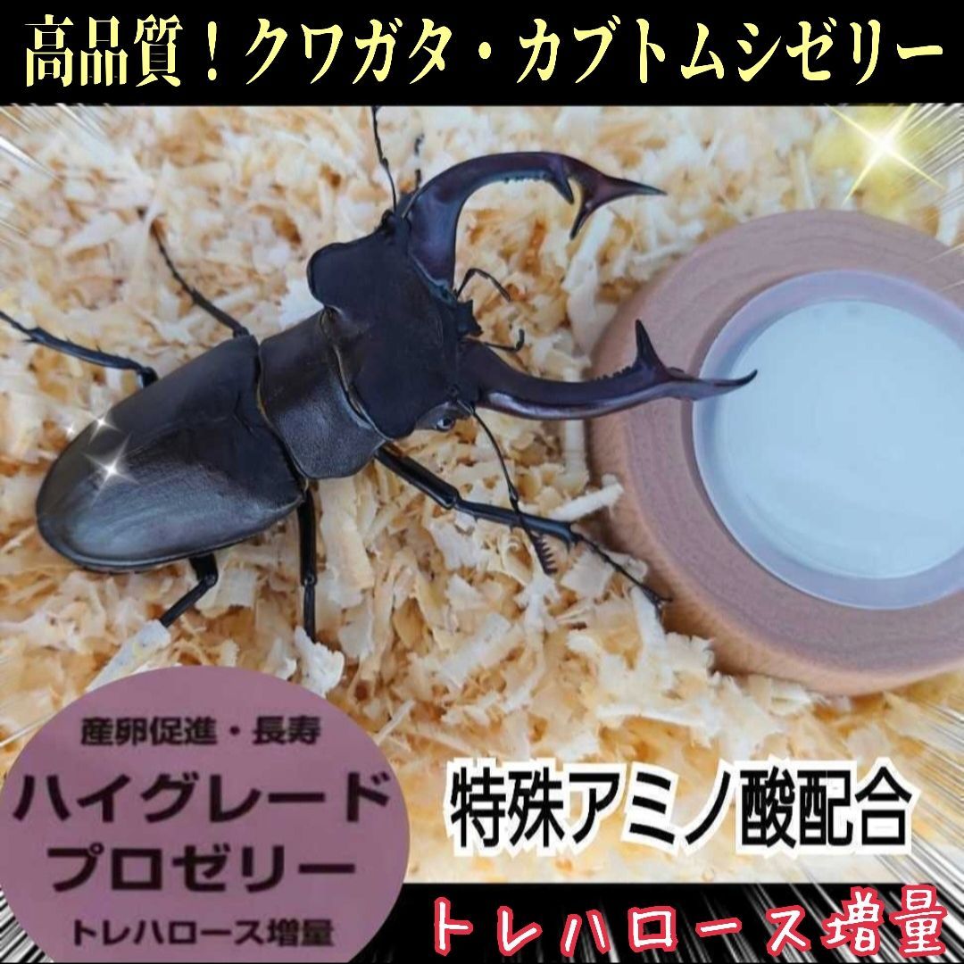 高品質！ハイグレードプロゼリー【100個】産卵促進・長寿・体力