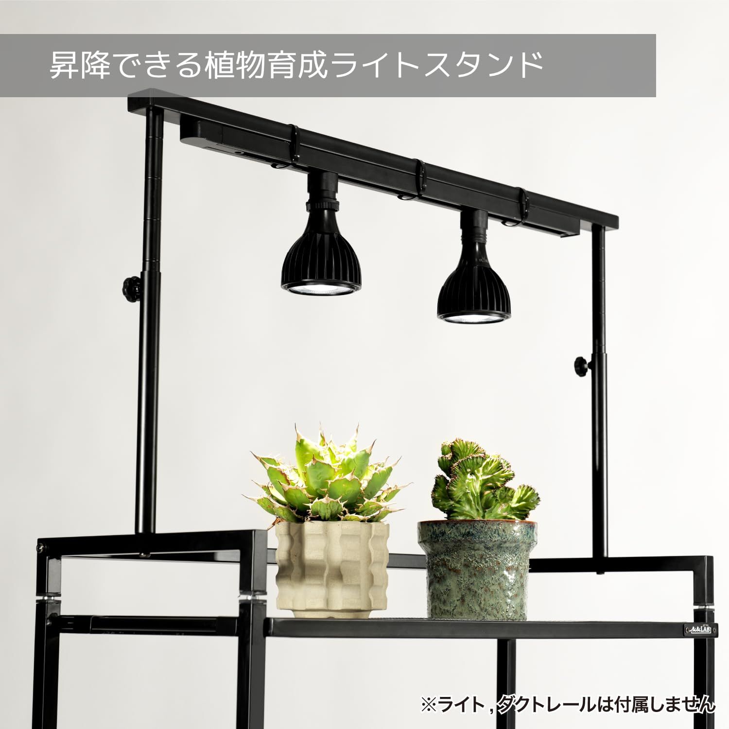 BIBILAB(ビビラボ) ビザールプランツラック LPR-800-BK 植物 ビザールプランツラック LPR-800-BK ブラック BIBILAB 植物