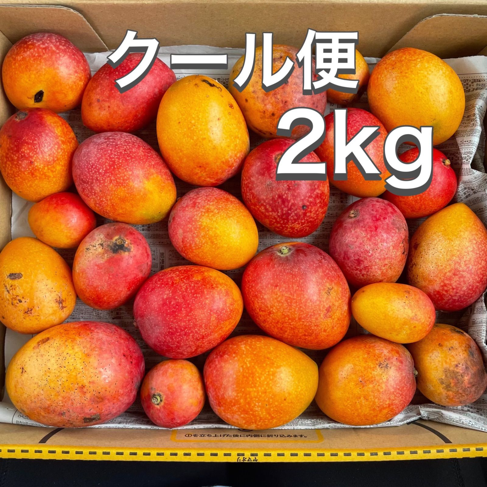 （安心のクール便！）大好評！沖縄産ミニマンゴー2Kg ミニマンゴー 2KG 家庭用 クール便 - メルカリ