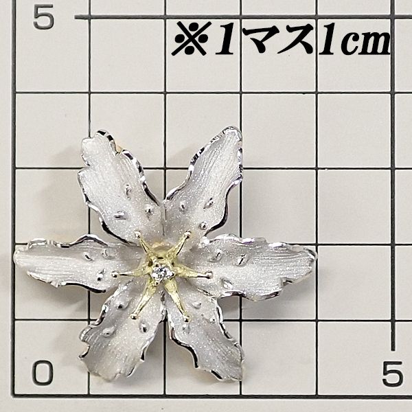 植物 ボタニカル
