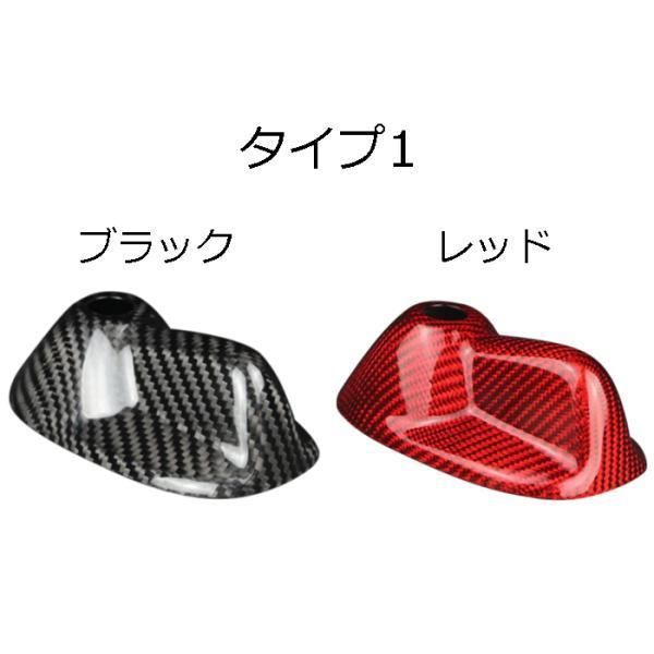 R55 R56