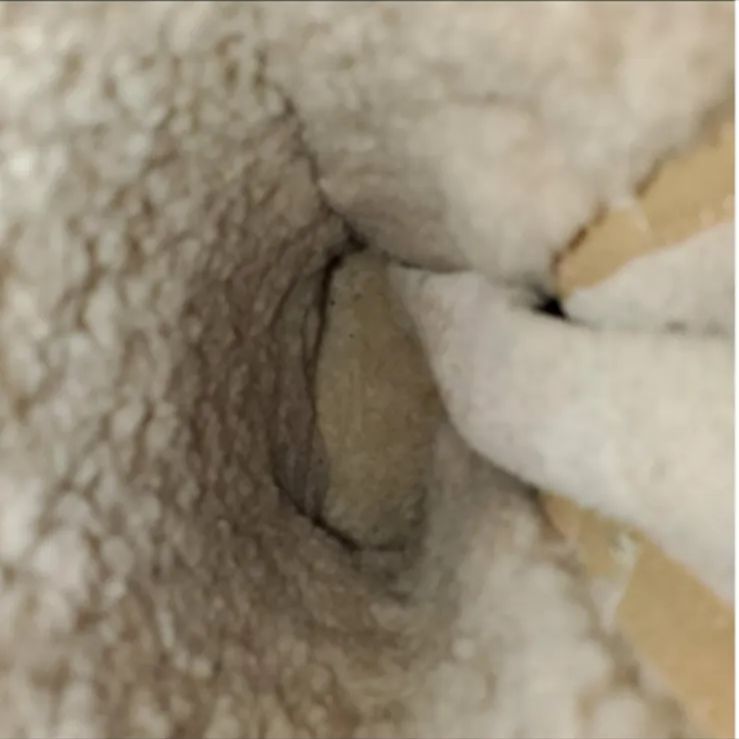 Tory Burch トリーバーチ ムートン ミドルブーツ 踵ロゴ 素材スエード×レザー×ムートン 22cm KIN-KAAI_COM