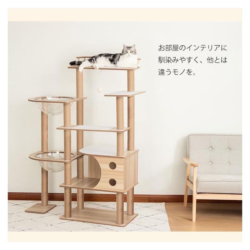 大型猫