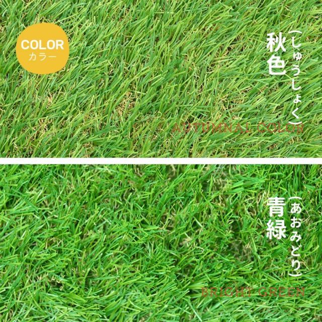 2m×10m 高密度47万本|m2