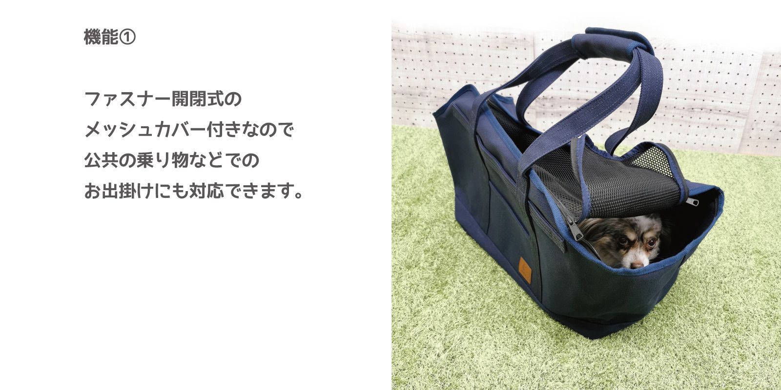 CTCB-01