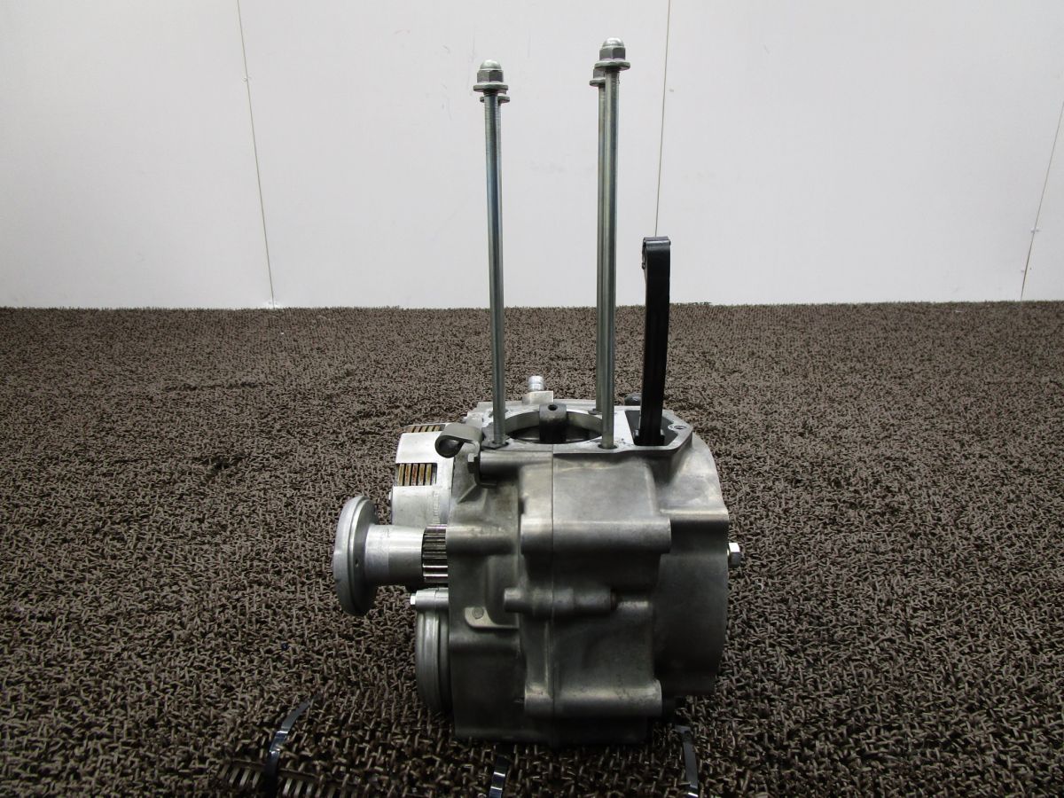 バイアルス TL125