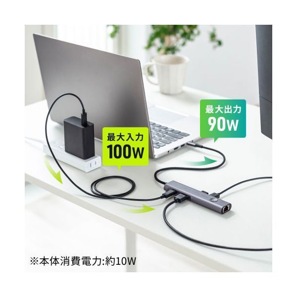 サンワサプライ USB Type-C ドッキングハブ HDMI LANポート搭載 USB-5TCHLP16GM CHRISTIANNAURATH_COM_BR