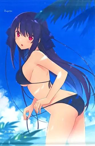 中古】タペストリー 鳶沢みさき 描き下ろしB2タペストリー