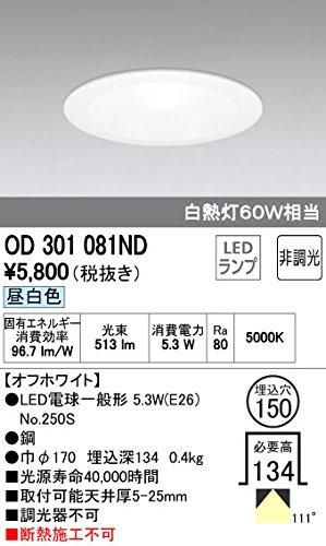 【新品・3営業日で発送】ODELIC オーデリック OD301081NDランプ別梱