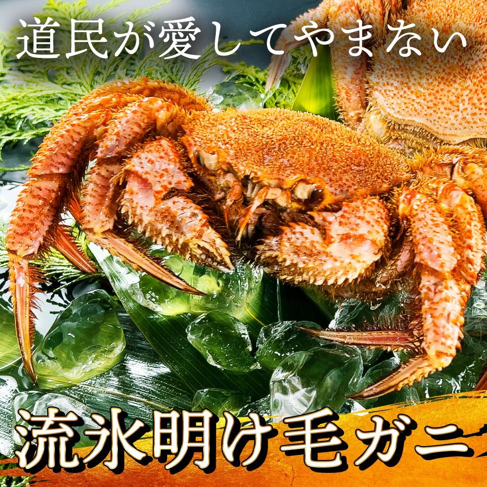 最高峰の毛ガニ 500g前後×2尾 🦀🦀 最高ランクの堅蟹! 流氷明け!!-2