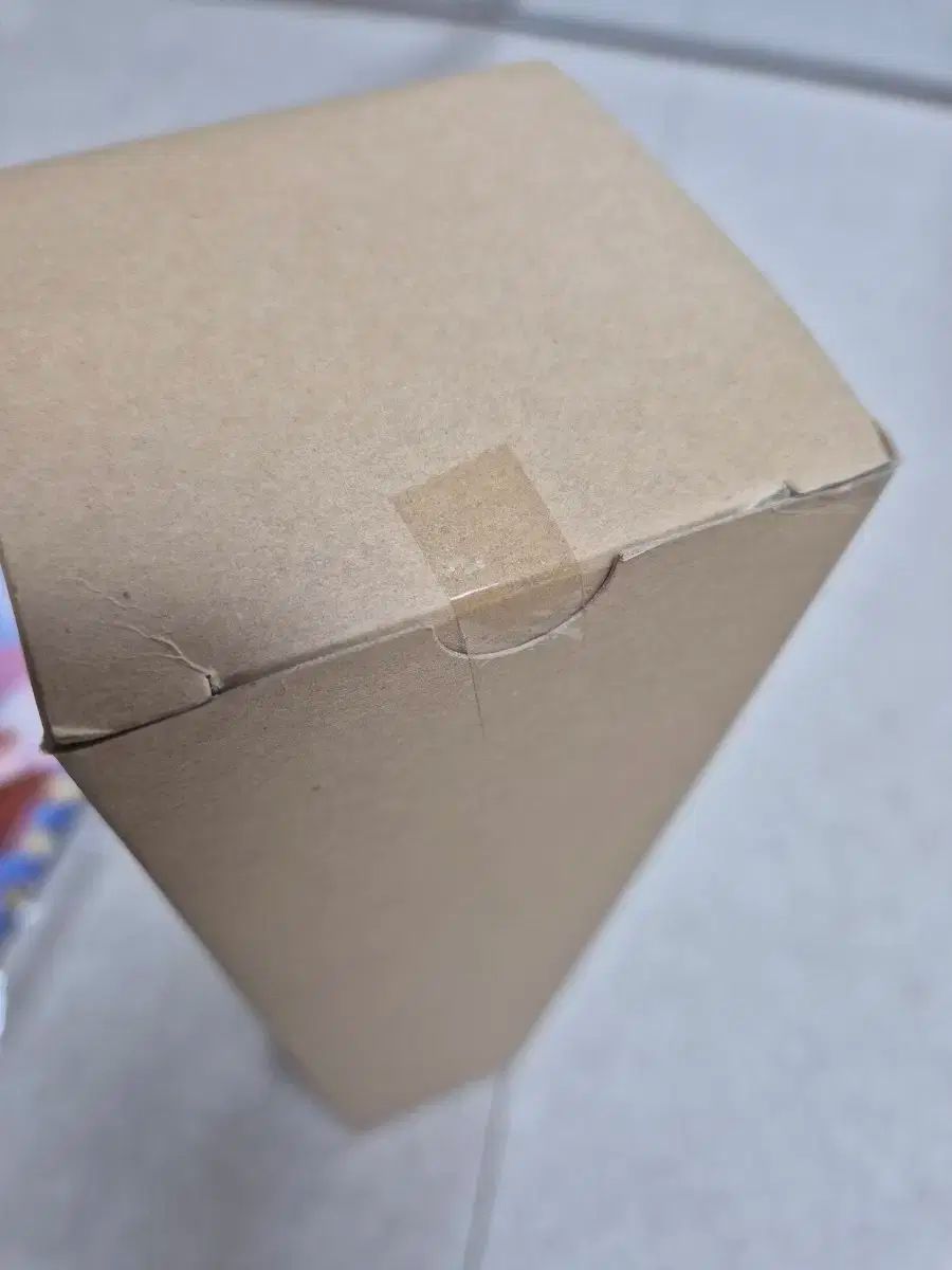 ウォンシン サマーフェスティバル 2025 ロングパッド CHRISTIANNAURATH_COM_BR