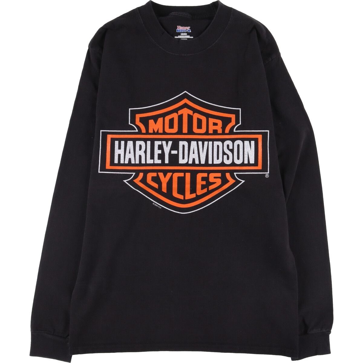 古着 ヘインズ Hanes Harley-Davidson ハーレーダビッドソン モーターサイクル バイクTシャツ メンズM相当|eaa549991