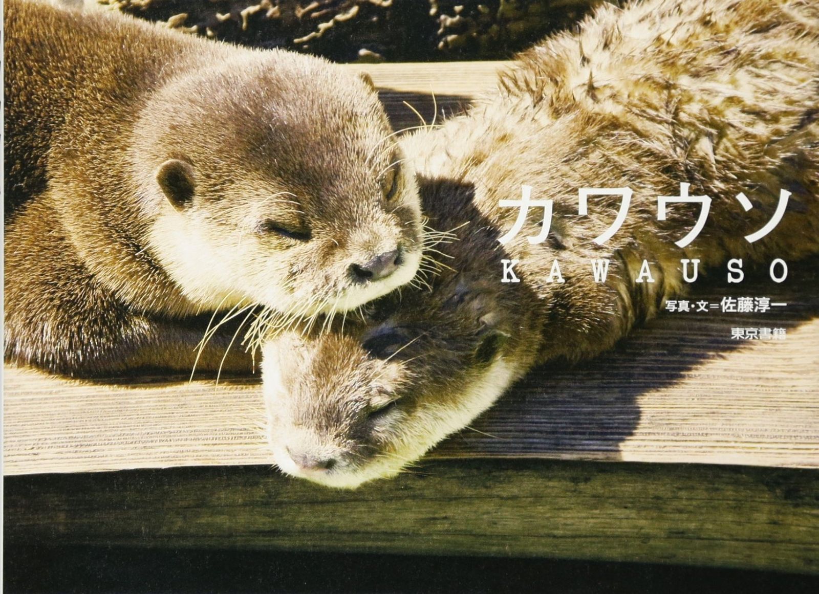 カワウソ