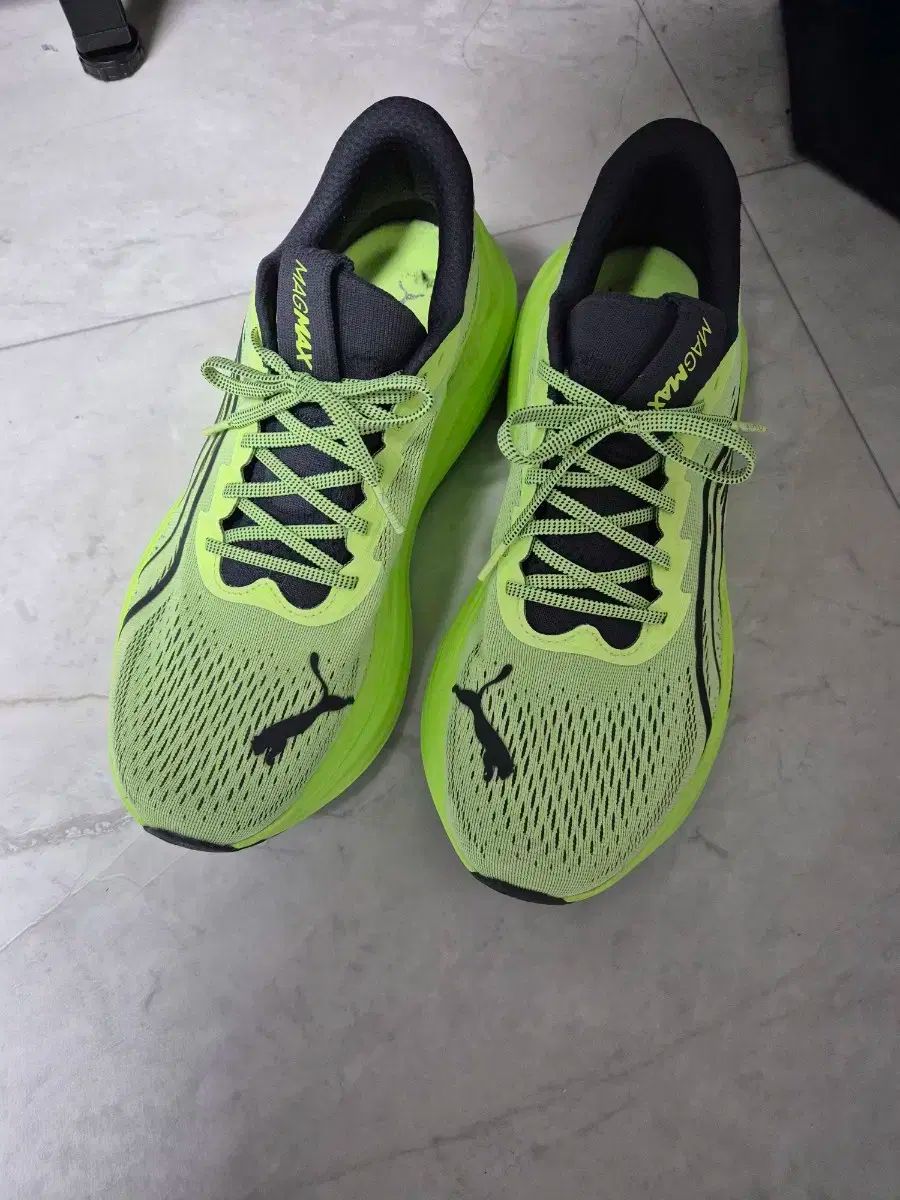 PUMA プーマ puma マグマックス 蛍光