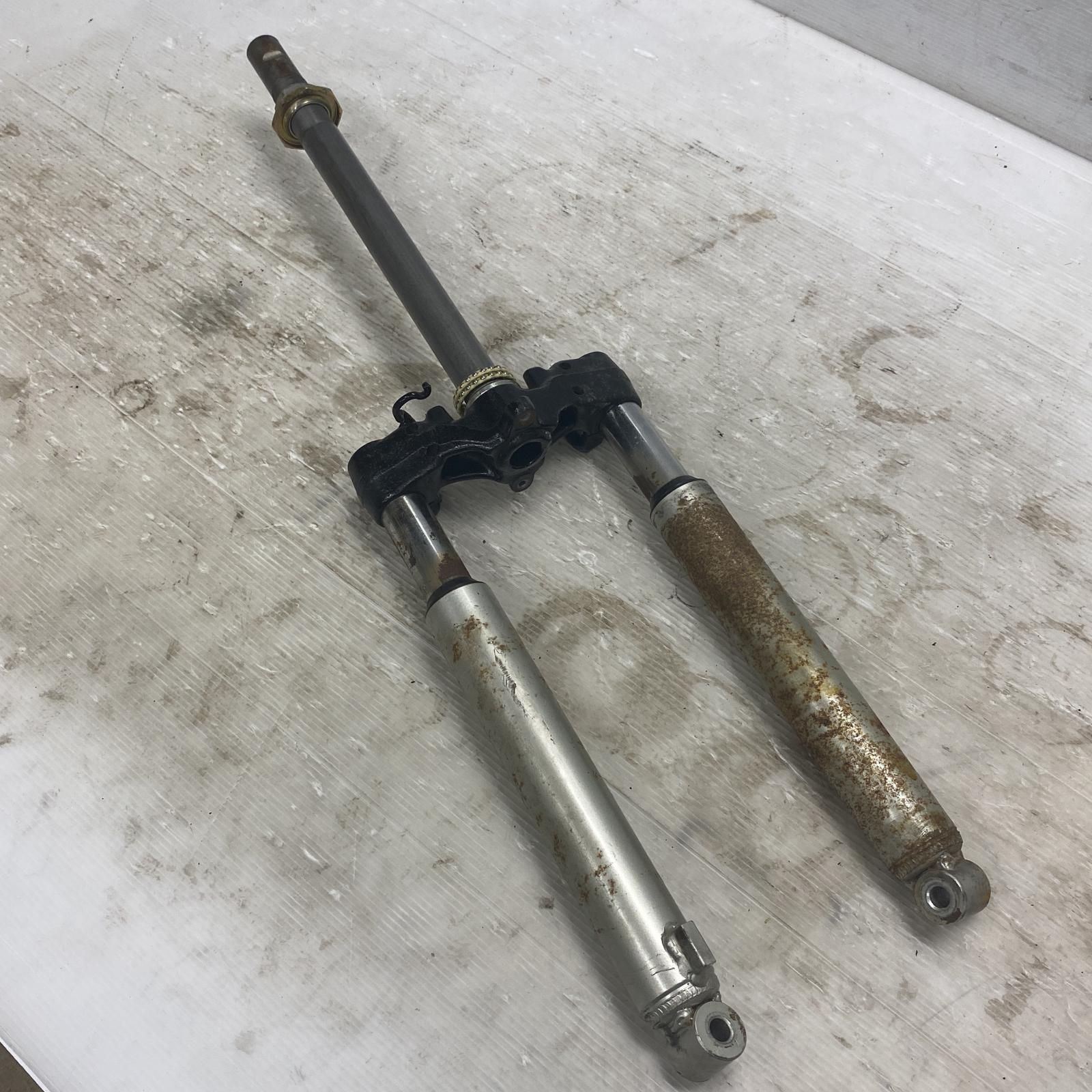 ライブディオ ZX AF35 フロントフォーク シルバー 銀 Live Dio AF34