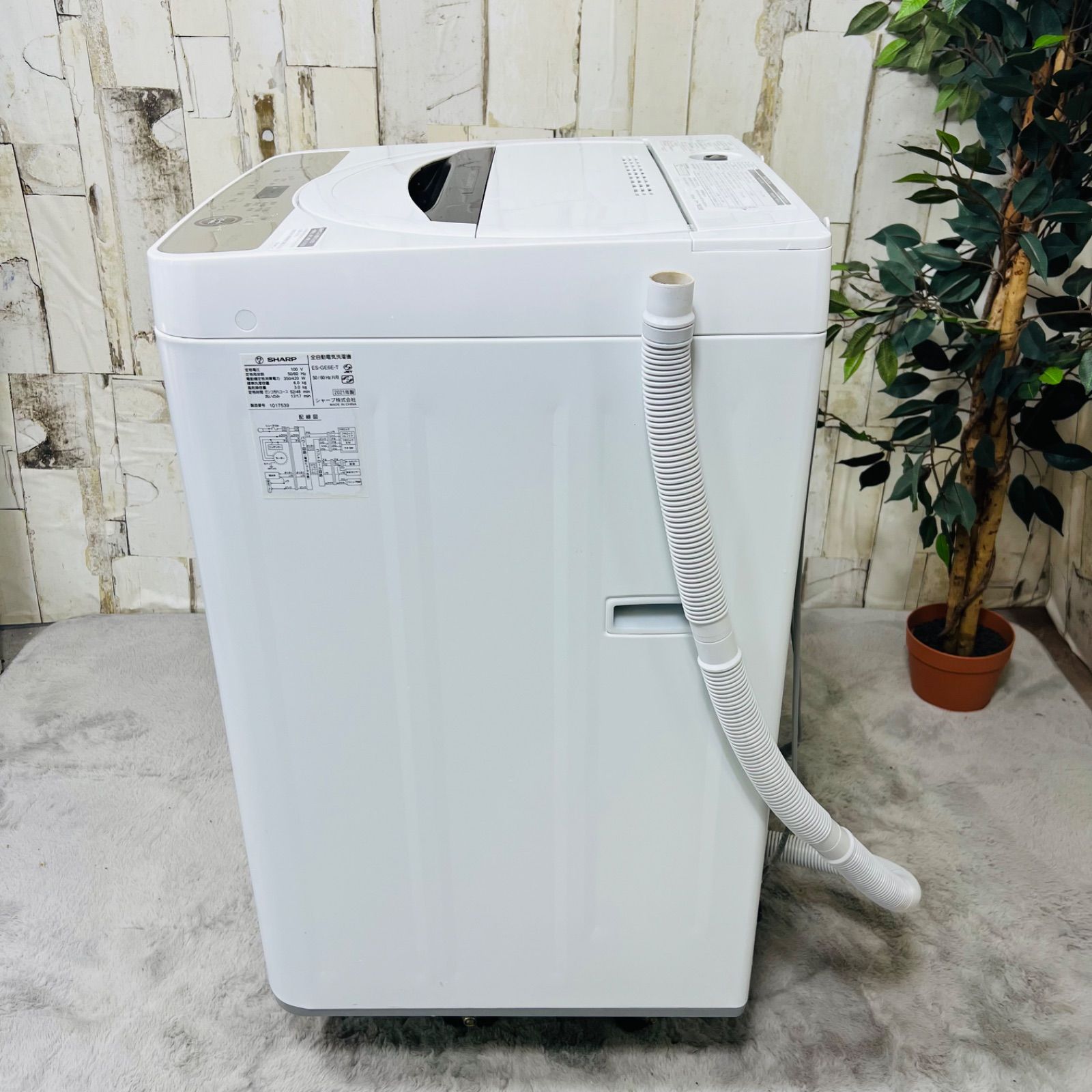 2021年製】SHARP シャープ ES-GE6E-T 洗濯機 - メルカリ
