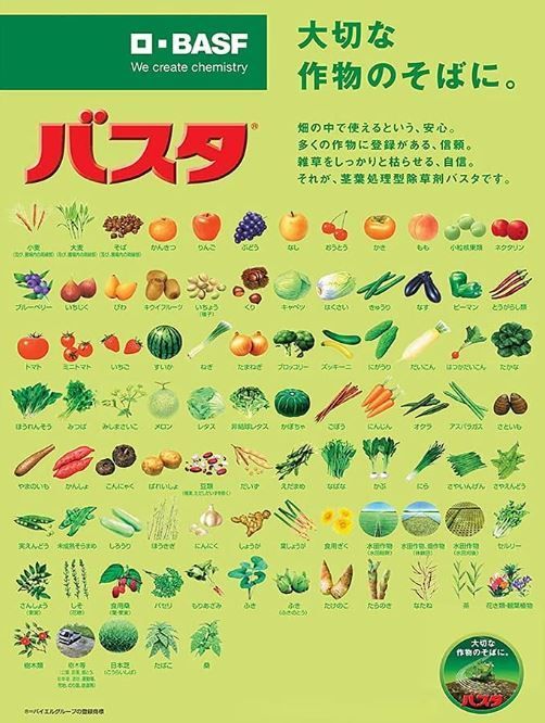 多年草