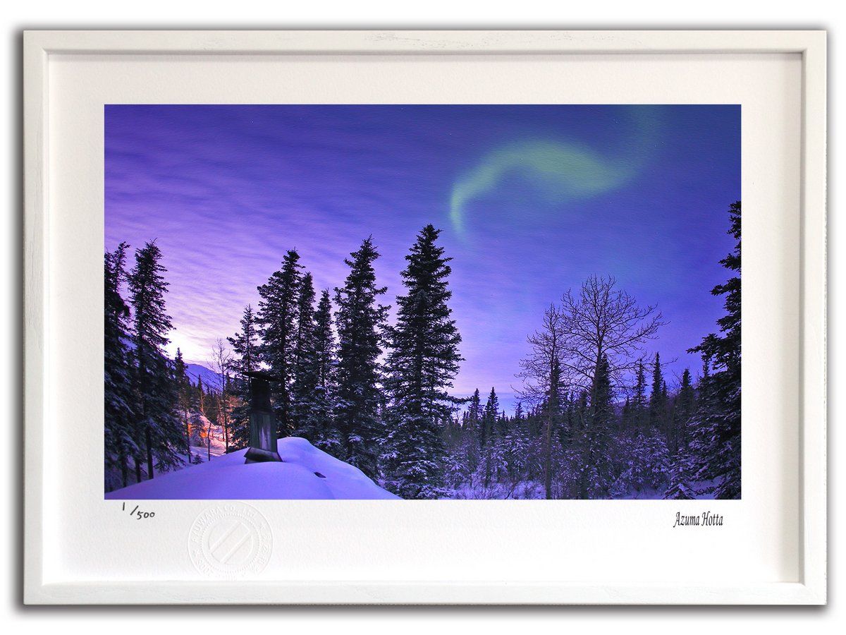 菊地容斎筆‐水墨蓮鷺 油絵肉筆画手書き作品 55センチ✖️45センチ額外