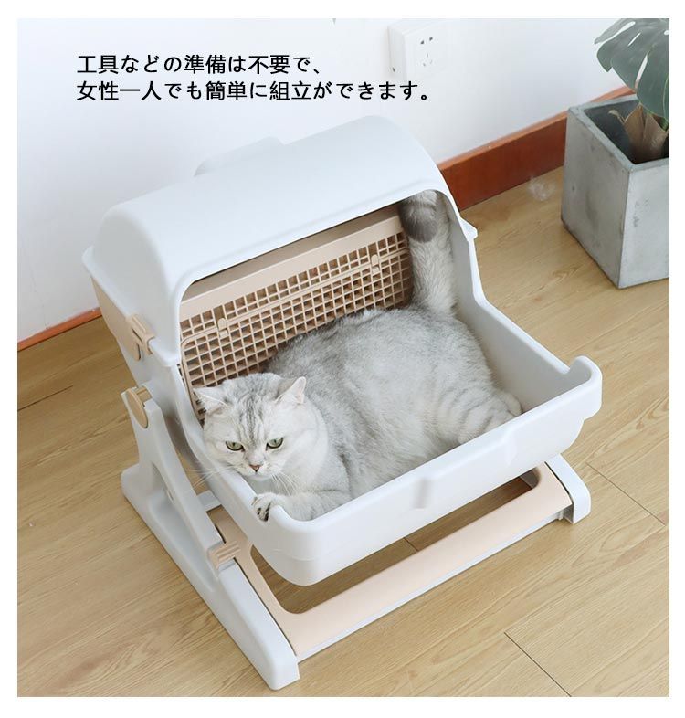 猫 ねこ