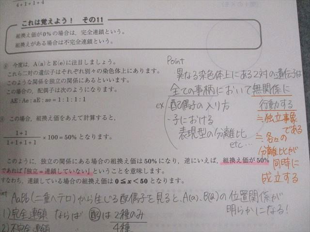 駿台 生物 遺伝特講 テキスト 2023 夏期 大森徹 008s0D 駿台 生物 遺伝特講 テキスト 2023 夏期 大森徹 008s0D - メルカリ
