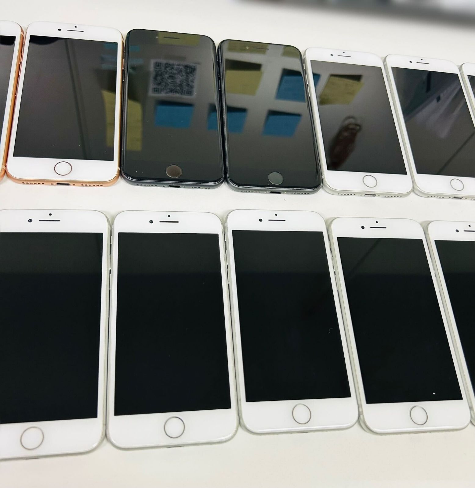 ししママ様専用です。 ししママ⚠️過剰包装／テープ過剰避けて