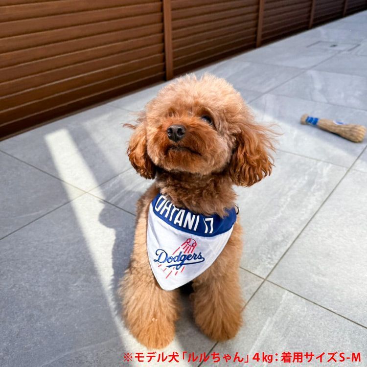 MLB公認 LA ドジャース 大谷翔平 選手モデル リバーシブル バンダナ L-XL ペット用 （04010）