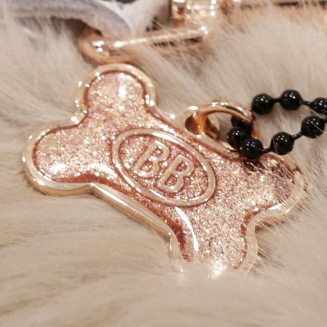 バディーベルト正規輸入代理店