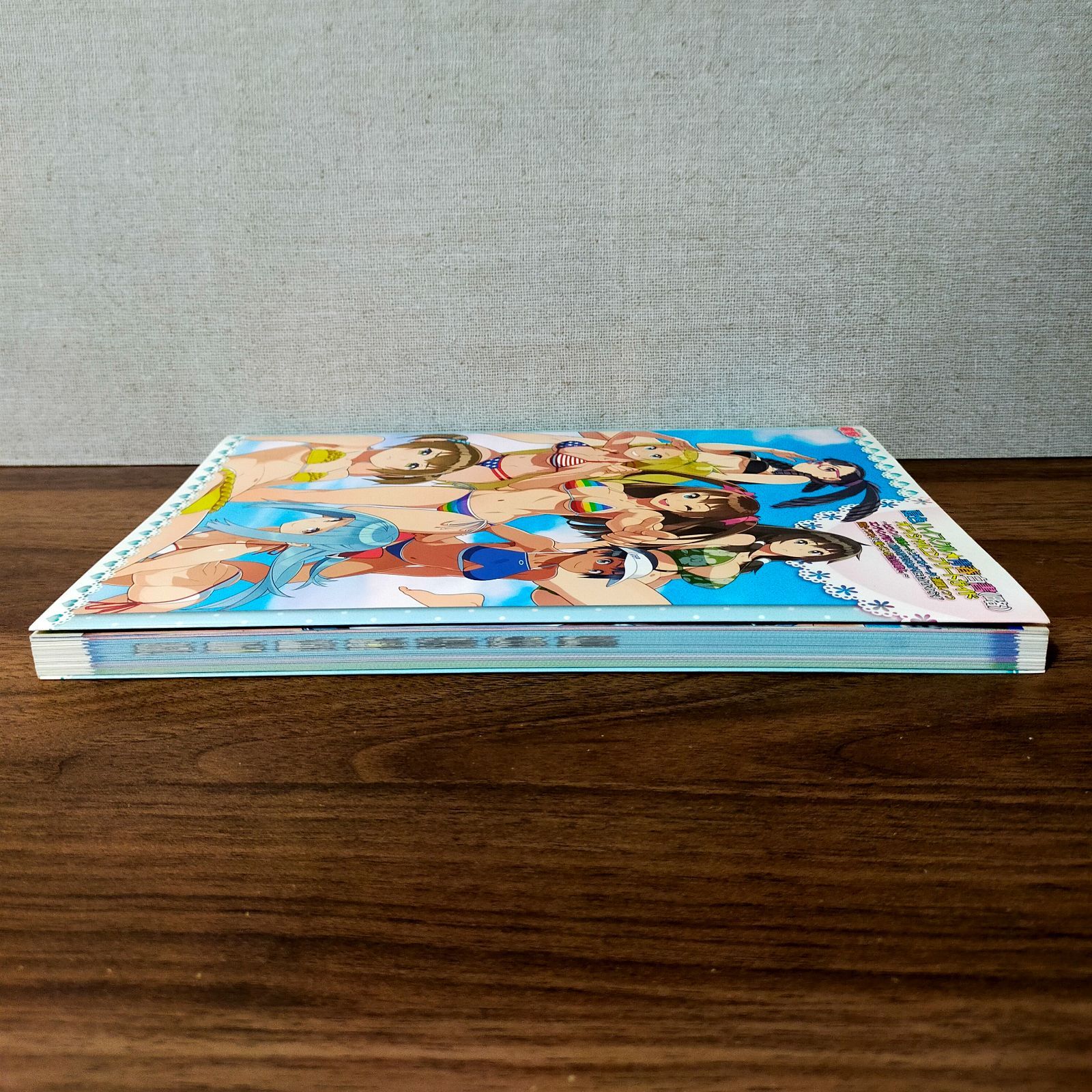 夏色ハイスクル☆青春白書〈略〉オフィシャルコンプリートガイド