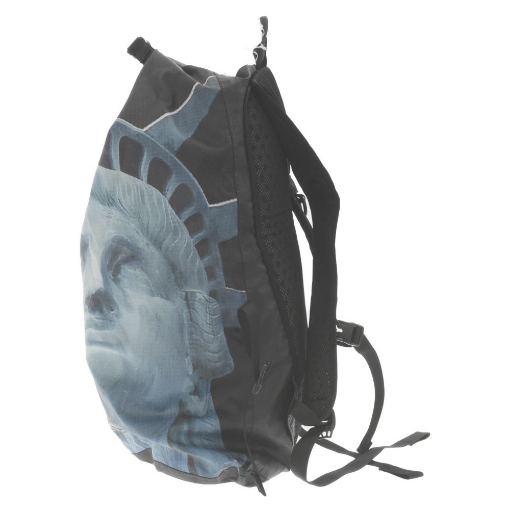 SUPREME (シュプリーム) 19AW×THE NORTH FACE Statue of Liberty 
